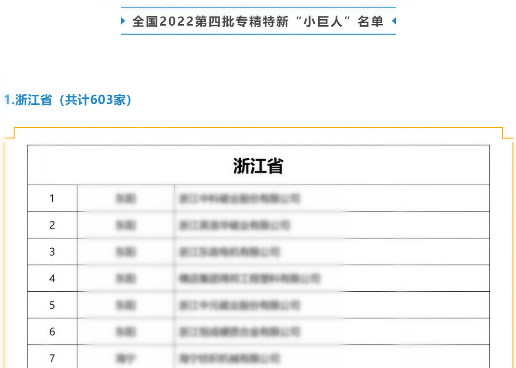 再獲殊榮|浙江諾亞獲評(píng)為國家級(jí)專精特新“小巨人”企業(yè)稱號(hào)